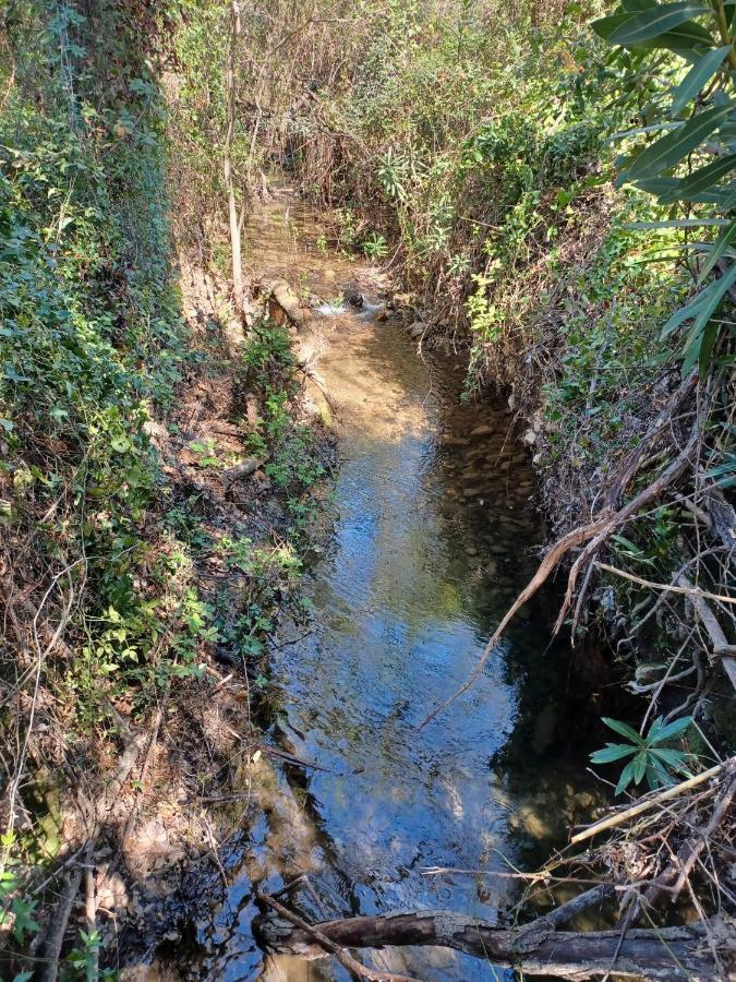 Casa Sendero Del Rio Βίλα El Bosque Εξωτερικό φωτογραφία